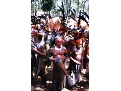 PNG 1961-64 : Natives dressed for Sing Sing 