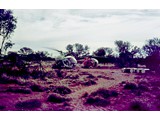 1970 : Hughes 500 and Bell 47G helicopters in WA; H500 definitely from Jayrow Helicopters Pty Ltd. but unable to verify owner of Bell 47G.