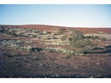 1968 : Simpson Desert.