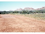 1968 : MacDonnell Ranges.