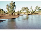 1968 : Willowra - Lander River.