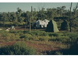 1968 : Willowra camp.