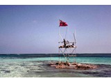 1971 : Aerodist station marking of coral cay in Coral Sea (tower removed after measuring completed).