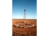 Western Australia : Natmap geodetic trig station circa late 1960s near Forrest.