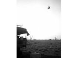 1964 : Helicopter VH-INZ with Aerodist master equipment on approach to cenre party camp in northern NSW.