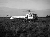 1964 : Helicopter VH-INZ with Aerodist master equipment at cenre party camp in northern NSW.