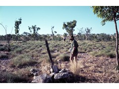 1970 TG264 Ground marking sub-party, Simon Cowling and unknown looking for original Qld-NT border marks.