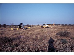 1971 TG203 Aerodist operations, NT damaged helicopter VH-UHO at Lake Nash with replacement helicopter (VH-ANC) in background.