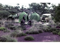 1974 : Along the Voakes Hill to Neale Junction geodetic traverse; camp  (L-R) Mike Morgan (standing), Ted Graham and Bill Stuchbery. 