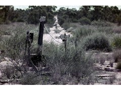 1974 August : Along the Voakes Hill to Neale Junction geodetic traverse; signpost showing Laverton 230 miles west.