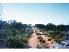 1974 : Along the Voakes Hill to Neale Junction geodetic traverse; track west.