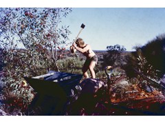 1974 : Along the Voakes Hill to Neale Junction geodetic traverse; clearing trig for marking for spot photography; Mike Morgan axeman.