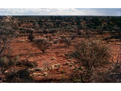 1975 : Around Surveyors General Corner, Giles and Uluru; station marked for spot photography.