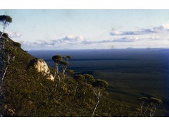 1975 : Around Surveyors General Corner, Giles and Uluru; view to distant trig.
