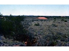 1975 : Around Surveyors General Corner, Giles and Uluru; areas of live sand.