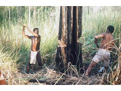 PNG 1961-64 : Clearing an area for the air-dropping of supplies