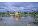 1968 : A Bell 47G-4 helicopter (VH-UTS) was chartered from Helicopter Utilities Pty Ltd to support second order theodolite and Tellurometer traversing for mapping control in Western Australia shown here after floods near Muggan HS.
